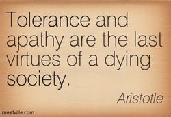 tolerance-and-apathy-are-the-last-virtues-of-a-dying-society.jpg